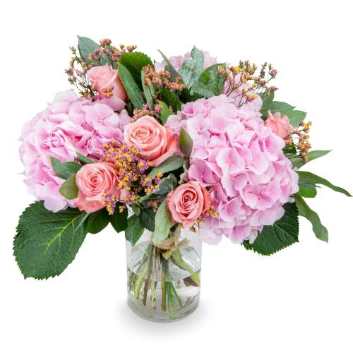 Bouquet of hydrangea
